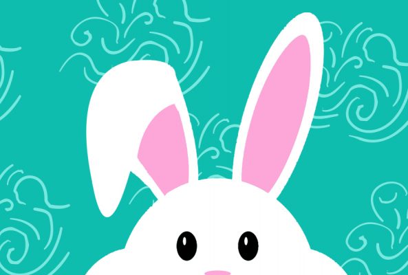 BunnyCares WebsiteHighlight