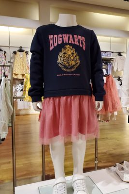 Hogwarts Outfit