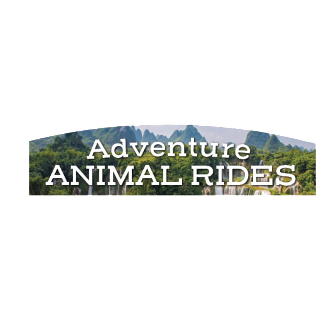 Adventure Animal Rides